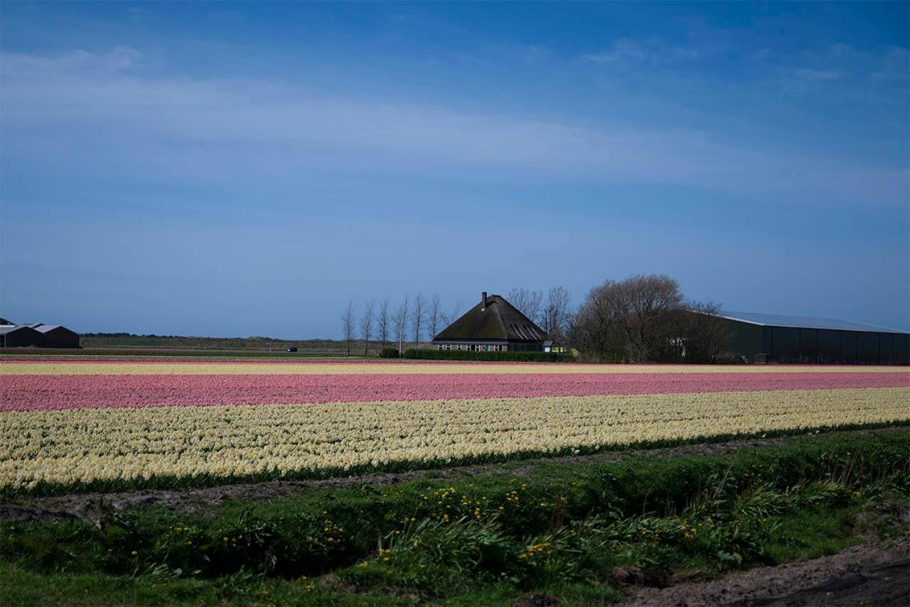 Bed and Breakfast Bloem & Bed 't Zand Exterior foto
