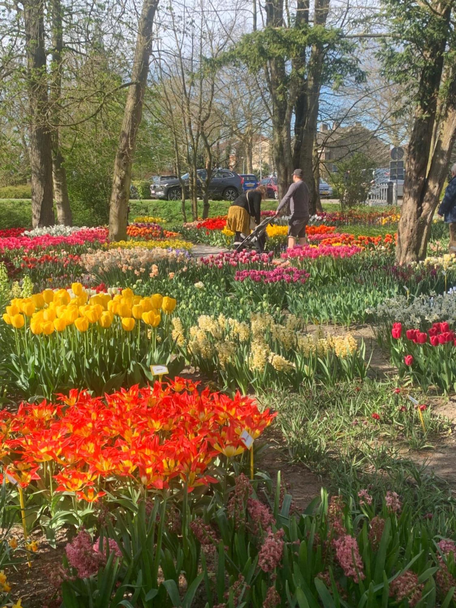 Bed and Breakfast Bloem & Bed 't Zand Exterior foto